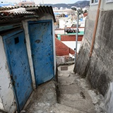 dailyPhoto39